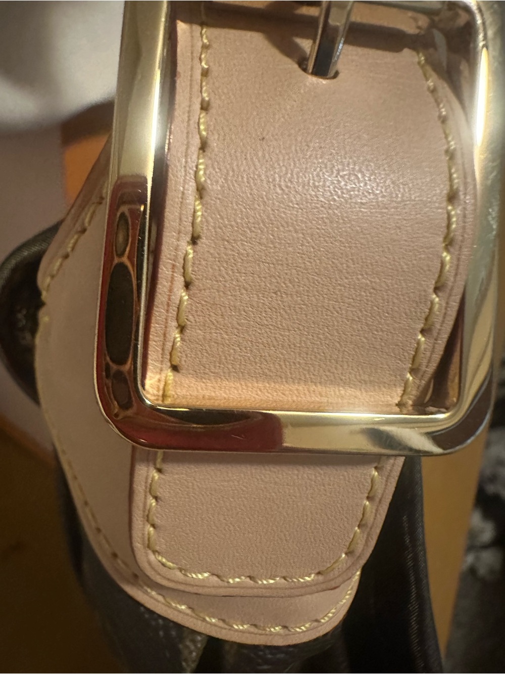 Mint Condition - Authentic 2009 LV Limited Edition PM Kalahari - Picture 7 of 17